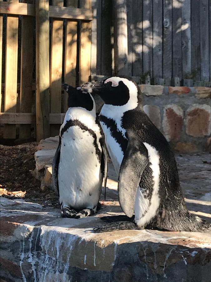 Seaforth Suite Simonʼs Town エクステリア 写真